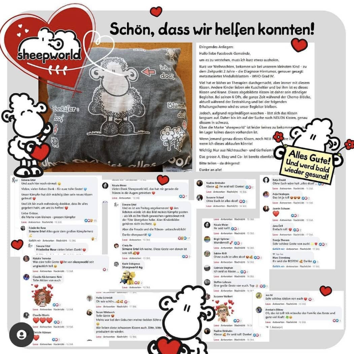 Unterstützung von Sheepworld für Thores Lieblingskissen.